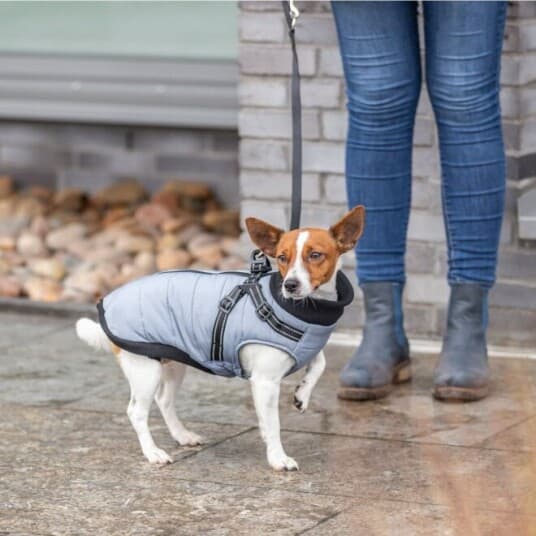 Trixie Pontis Harness Coat, S: 40 Cm, Grey