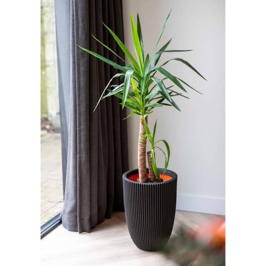 Capi Elegant Groove Plantepotte, 46X58 Cm, Sort Lumarko!