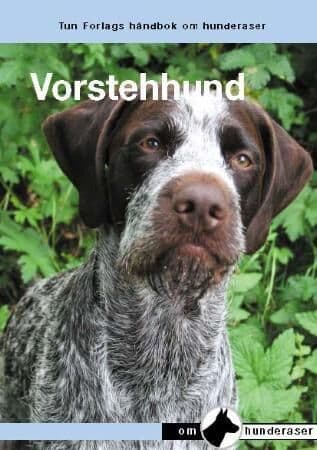 Vorstehhunder