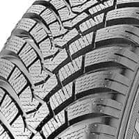 Falken EUROWINTER HS01 ( 235/50 R19 103V XL, SUV )