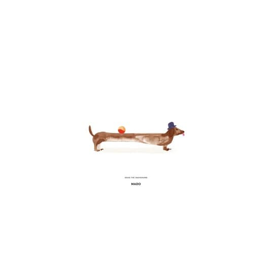 Paper Collective Doug the Dachshund poster 30x40 cm