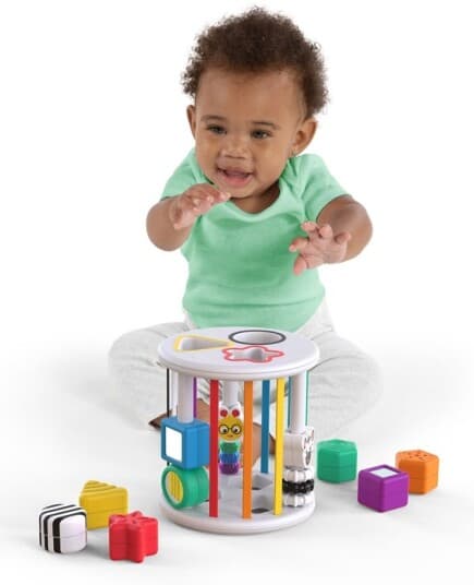 Baby Einstein Sensory Shape Sorter Zen & Cal’S Playground, 12493