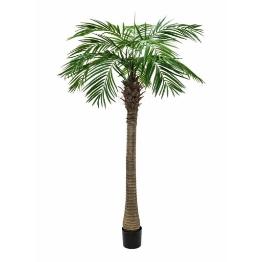 Europalms Phönixpalme Luxor, Kunstpflanze, 300Cm (82510723)