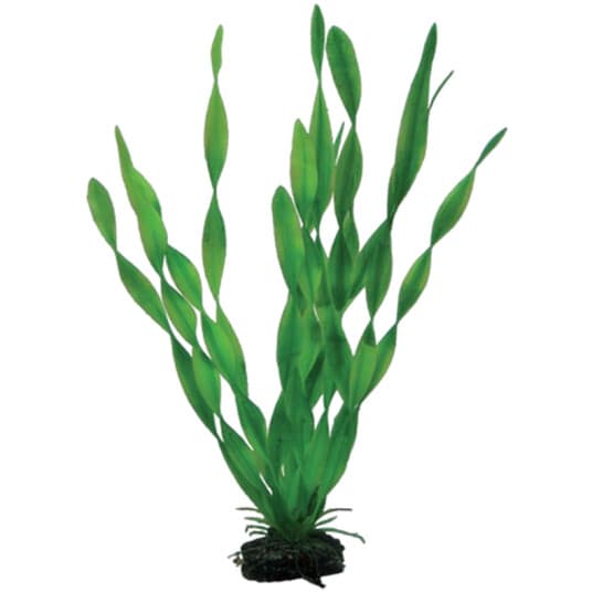 Plastplante Vallisneria 34cm