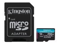 Kingston - Flashminnekort (Microsdxc Til Sd-Adapter Inkludert) - 256 Gb - A2 / Video Class V30 / Uhs-I U3 / Class10 - Microsdxc Uhs-I