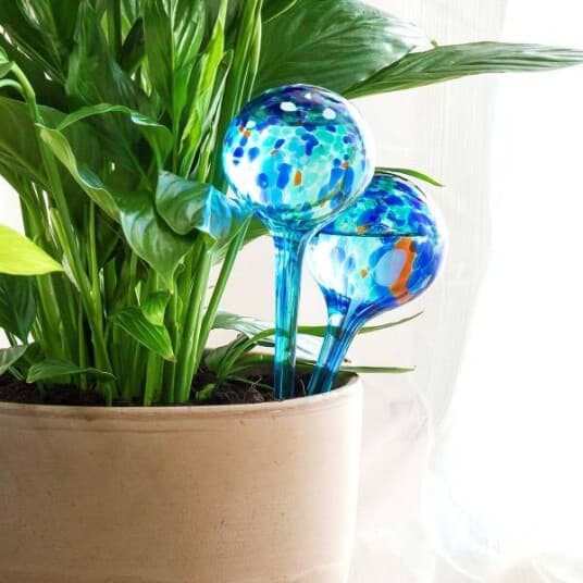 Aqua Globe 2stk - selvvanningssystem til blomsterpotter