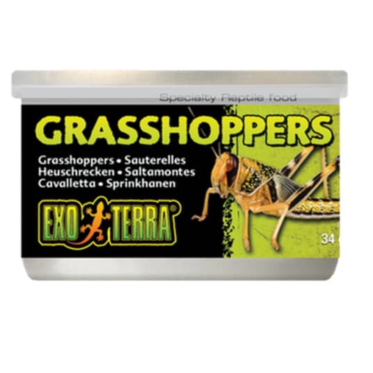 Exo Terra Hermetikk - Gresshoppe, 34G