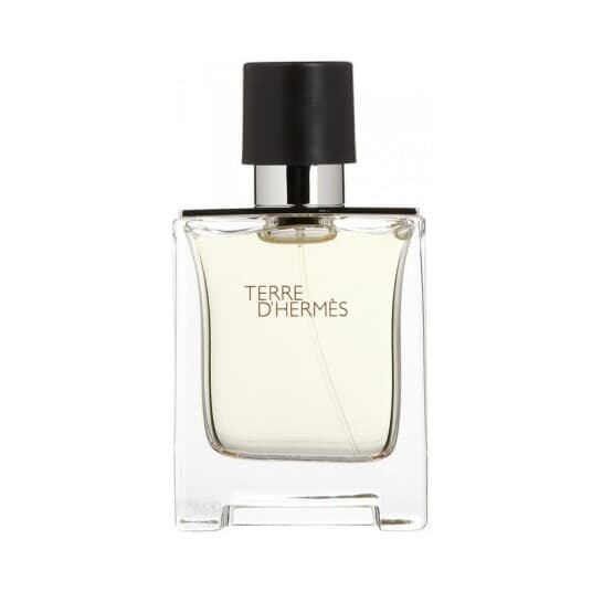 Hermes Terre D'hermes Edt Spray 100 Ml Men