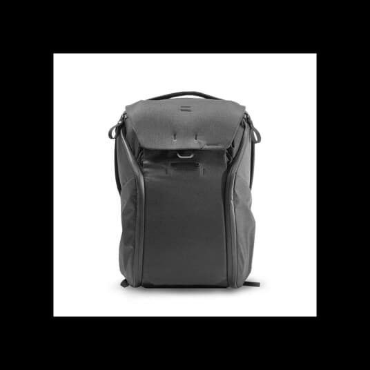 Peak Design Everyday Backpack - V2 - Ryggsekk For Digitalbildekamera Med Linser / Notebook - 400D-Nylonlerret - Svart - 15"