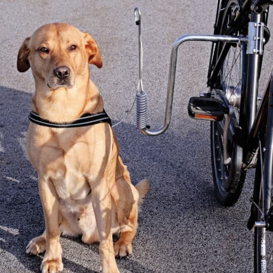 Dogman Stabilt Cykelfæste Til Hund