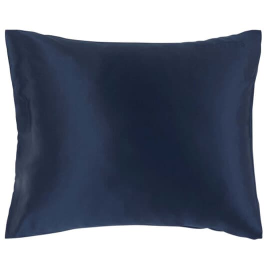 Lenoites Mulberry Silk Pillowcase Blue 50x60cm