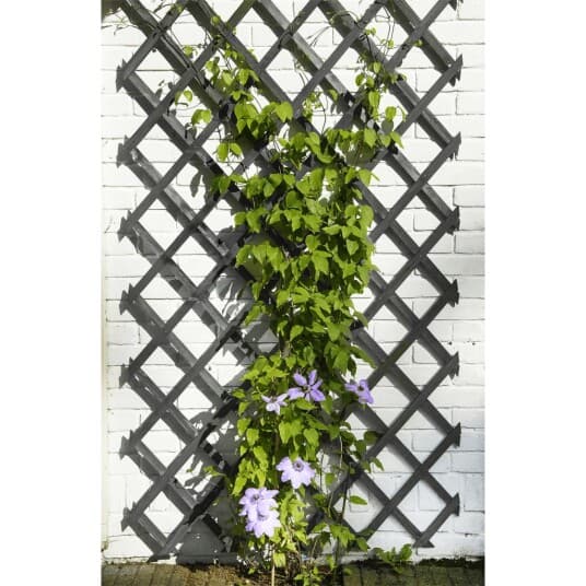 Nature Nature Hage Espalier, 50X150 Cm, Tre, Antrasitt Lumarko!