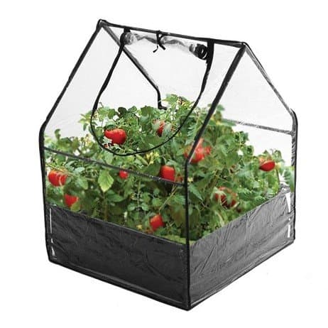 Hortus Mini Drivhus M/ Bund 65 X 65 X 85 Cm (211-180)