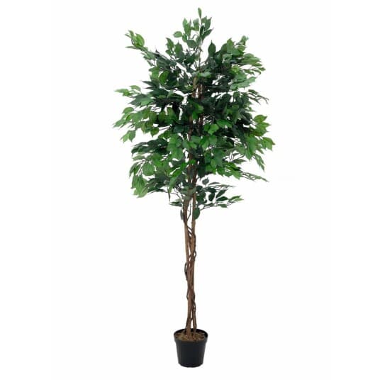 Europalms Ficus-Benjamini Flerstammet, Kunstig Plante, 210 Cm (82506127)