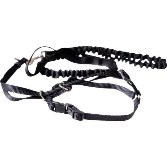 Cat Harness & Leash Medium