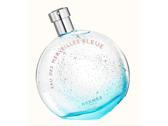 Hermes Eau Des Merveilles Bleue Eau De Toilette Spray 100Ml For Kvinner