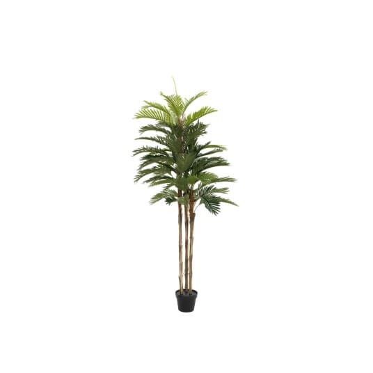 Europalms Kentia Palme, Kunstig Plante, 150 Cm (82511366)